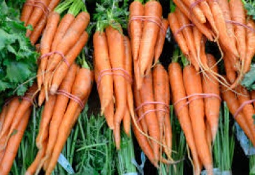 TP.HCM: Khủng khiếp dùng chất độc tẩy cả chục tấn cà rốt trước khi “xuất xưởng”